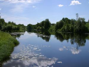 Un río con árboles y nubes en el agua en Sangis Motell och Camping, en Sangis
