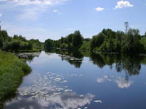 a river with trees and clouds in the water at Sangis Motell och Camping in Sangis