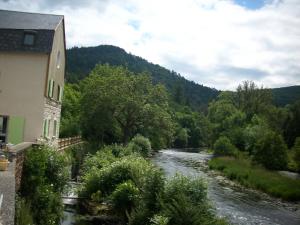 Příroda nedaleko bed and breakfast