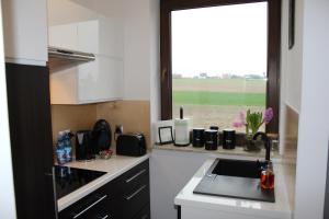 a small kitchen with a sink and a window at Apartament Fibra Aroma in Rybnik