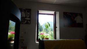 a window in a room with a view of a plant at La Chouette à l'heure du Pinson in Saint-Pierre-dʼEntremont