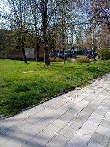 un trottoir dans un parc planté d'arbres et d'herbe dans l'établissement Apartmány Karviná, à Karviná