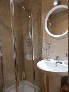 een badkamer met een douche, een wastafel en een spiegel bij Cabárceno in La Penilla