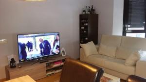 een woonkamer met een televisie en een bank bij Cabárceno in La Penilla