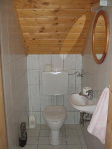 a bathroom with a toilet and a sink at Glanzerhütte in Innerkrems