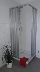 eine Duschkabine mit einem roten Handtuch im Bad in der Unterkunft NEW LOOK in Frankenberg