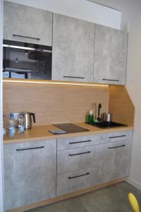 Kuchyň nebo kuchyňský kout v ubytování Apartamenty Natalia - bezpłatny parking
