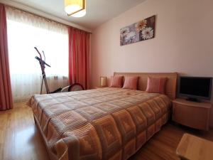 een slaapkamer met een groot bed en een televisie bij Tadas Apartaments in Vilnius