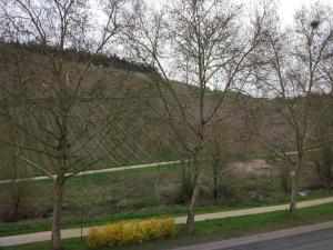 a road with trees on the side of a hill at Ferienappartement Trier in Trier