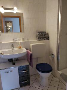 a bathroom with a toilet and a sink and a shower at Ferienappartement Trier in Trier