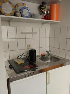 a kitchen counter with a sink and plates on a shelf at Ferienappartement Trier in Trier