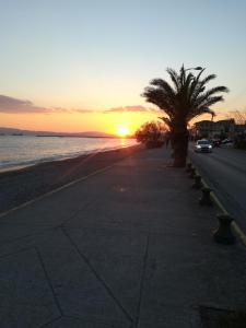 Príroda v okolí apartmánu + 8 fotografií