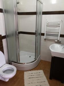 a bathroom with a shower and a toilet and a sink at Hotel Everest in Węgrów