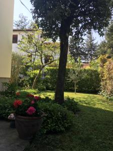 Zahrada ubytování Casa di Paolo