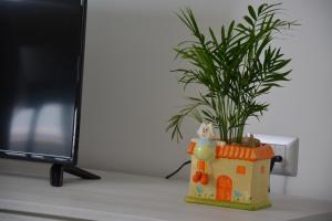 Foto dalla galleria di Casa vacanze Marisella a Nardò