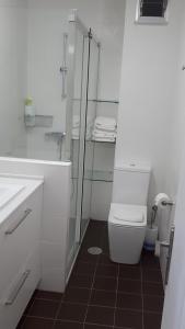 サンティアゴ・デ・コンポステーラにあるPR Blancoのバスルーム(トイレ、ガラス張りのシャワー付)