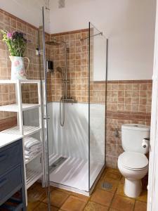 a bathroom with a shower and a toilet at Alborada Apartamentos Rurales in Hervás