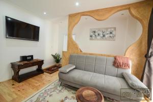 TV a/nebo společenská místnost v ubytování Centro Apartments