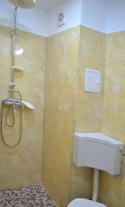 a bathroom with a shower and a toilet in it at LUCA Apartments in Saturn +25 photos