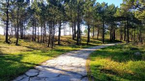 Paisaje cerca de este apartamento