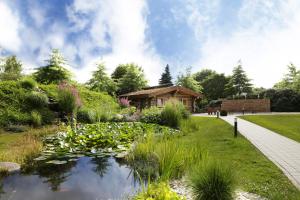 einen Garten mit einem Teich und einer Blockhütte in der Unterkunft See Park Janssen in Geldern