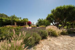 Zahrada ubytování Agroturismo Can Feliu