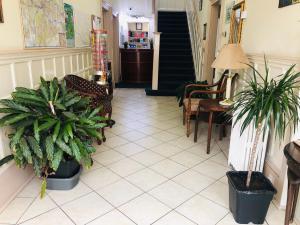 a hallway with potted plants and a staircase at Alba Hostel Glasgow in Glasgow