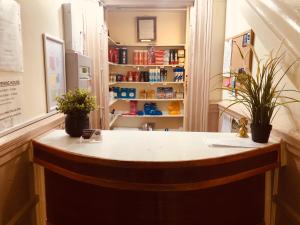 a counter in a pharmacy with two potted plants at Alba Hostel Glasgow in Glasgow