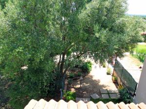 A garden outside Holiday Home Is Molas by Interhome