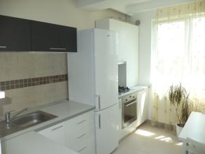 Gallery image of North Lane Apartment in Bucharest