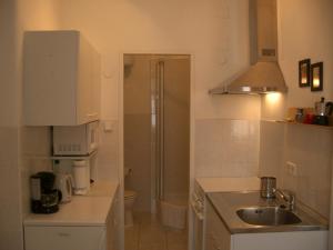 uma pequena cozinha com um lavatório e um chuveiro em Freundliches Apartment mit Innenhof-Garten em Viena