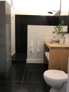 a bathroom with a toilet and a sink and a shower at l'autre maison in Penne-dʼAgenais