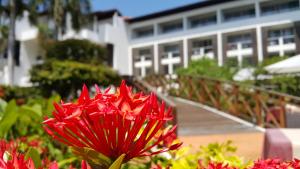 una flor roja en un jardín frente a un edificio en Lanka Princess All Inclusive Hotel, en Bentota