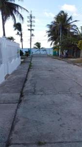an empty street with palm trees and the ocean at Posada green sea villa helen kilometro 4 circumbalar in Buenavista