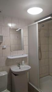 ein Bad mit einem Waschbecken, einer Dusche und einem WC in der Unterkunft Bed and Breakfast Tvrz in Velká Bukovina