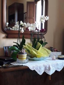 Gallery image of Bed&Breakfast Pianeta Benessere in Pistoia