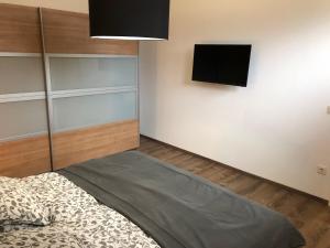 een slaapkamer met een bed en een flatscreen-tv bij Ferienwohnung Kirschholz in Schmelz
