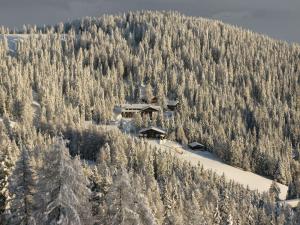 un lodge de esquí en medio de un bosque cubierto de nieve en Kronplatz Ski Lodge, en Valdaora