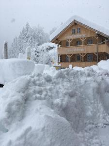 a pile of snow in front of a building at "Terrasse" Nessental in Gadmen