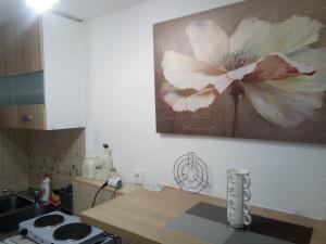 Kuhinja ili čajna kuhinja u objektu Vicky Apartments