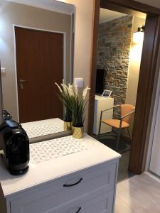 ein Badezimmer mit einer Theke mit einem Blumentopf darauf in der Unterkunft Komfortowe Apartamenty in Okuninka