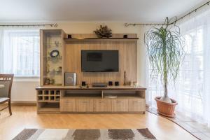 a living room with a television and a potted plant at Apartament Litoral Jurata in Jurata