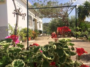 un jardín con flores rojas frente a un edificio en Rural El Puerto Mayordomo, en Ardales