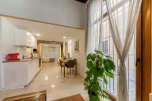 cocina y sala de estar con ventana grande en Casa en Plaza de la Merced_Centro Flamenco_Cádiz en Cádiz