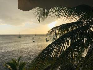 Landskap semula jadi dekat dengan hotel