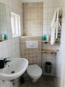 a bathroom with a toilet and a sink at Fila Stroo in Kamperland