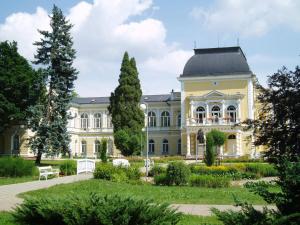 une grande maison jaune avec un jardin en face de celle-ci dans l'établissement Dr. Adler Spa & Kurhotel, à Františkovy Lázně