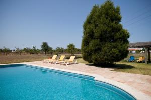 a swimming pool with lounge chairs and a tree at Monte dos Parvos in Vila Nova de Milfontes