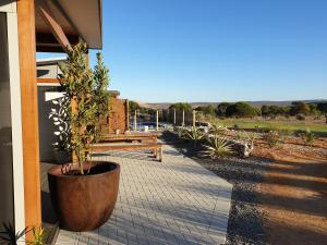 a potted plant sitting next to a building with a bench at River Retreats Kalbarri in Kalbarri +11 photos