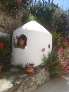 a garden with potted plants and flowers on a wall at Casa Luar in Odeceixe